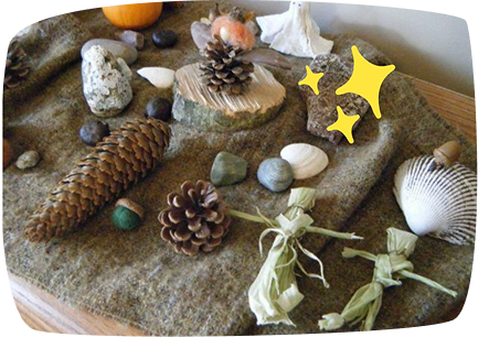 tavolo natura montessori pigne sassi legnetti conchiglie