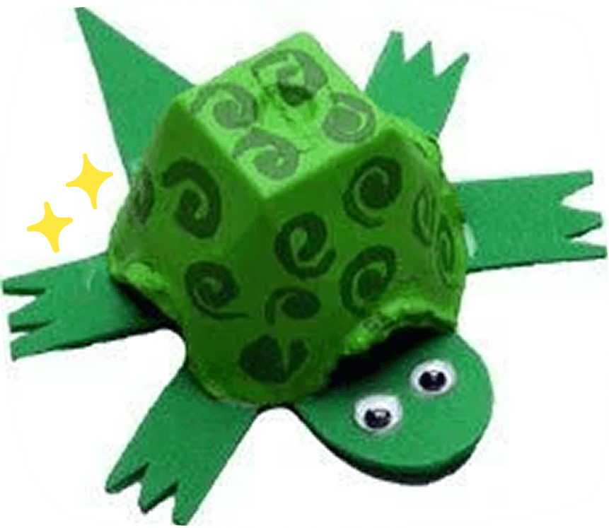tartaruga con il cartone delle uova e cartoncino